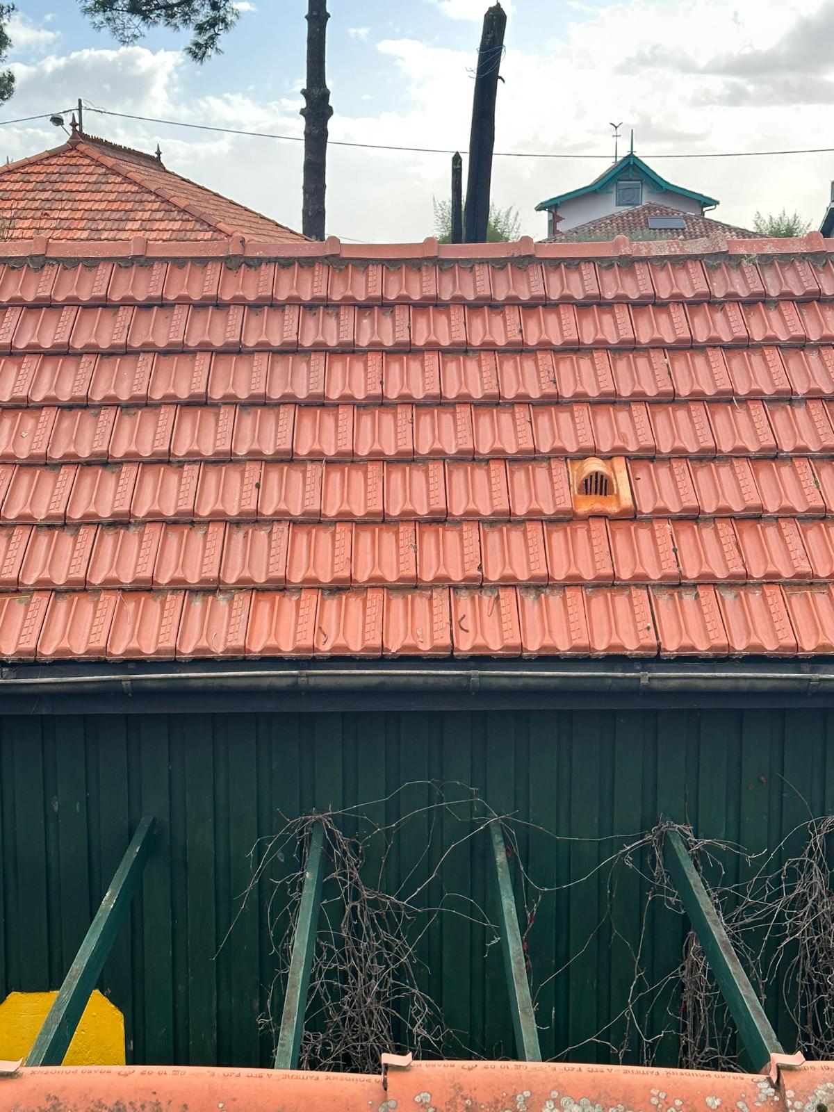 PHOTO 2025 02 18 17 53 38 2