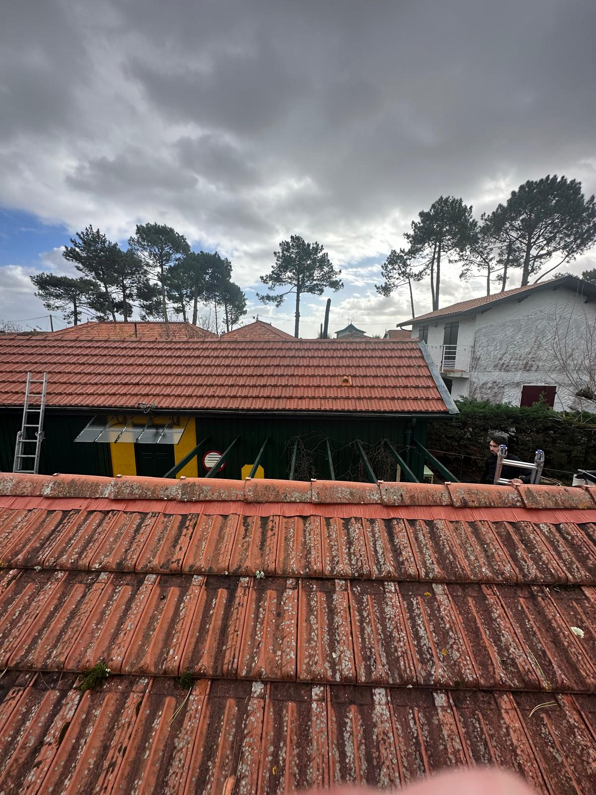 gallery-5 PHOTO 2025 02 18 17 53 38 4