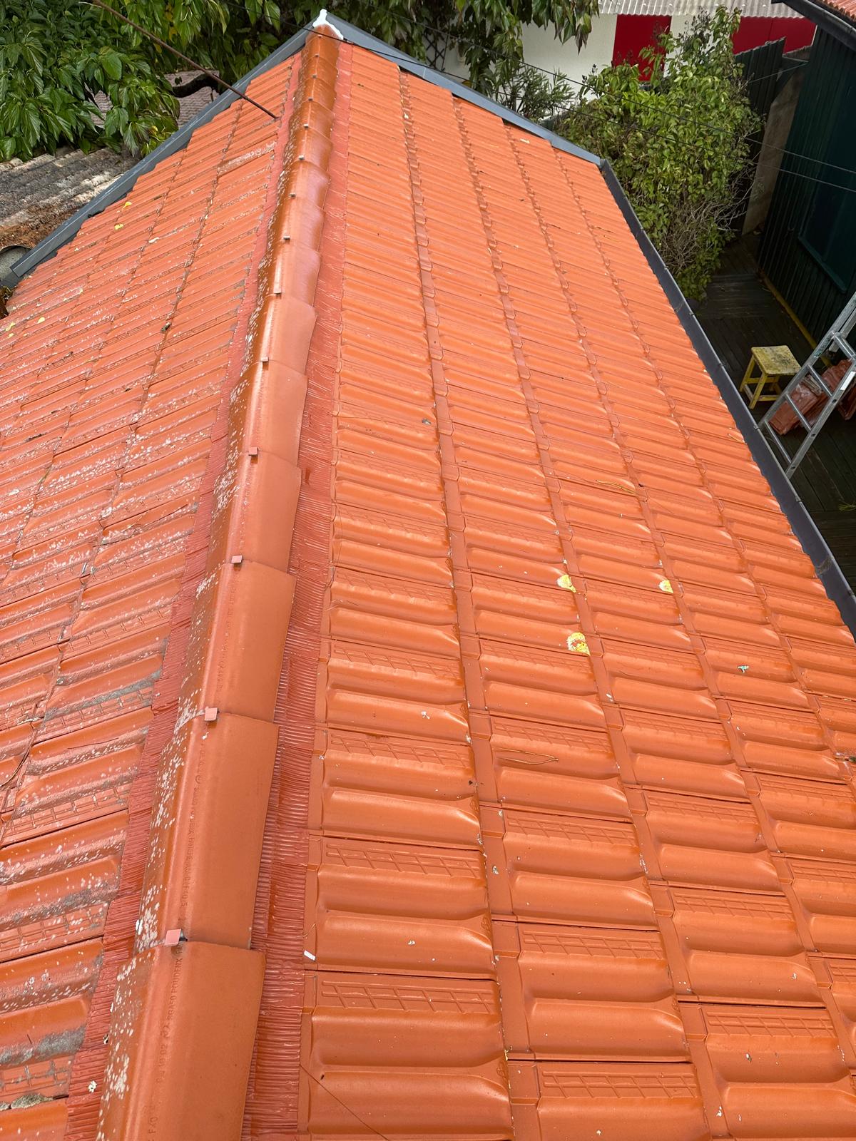 gallery-4 PHOTO 2025 02 18 17 53 38 5