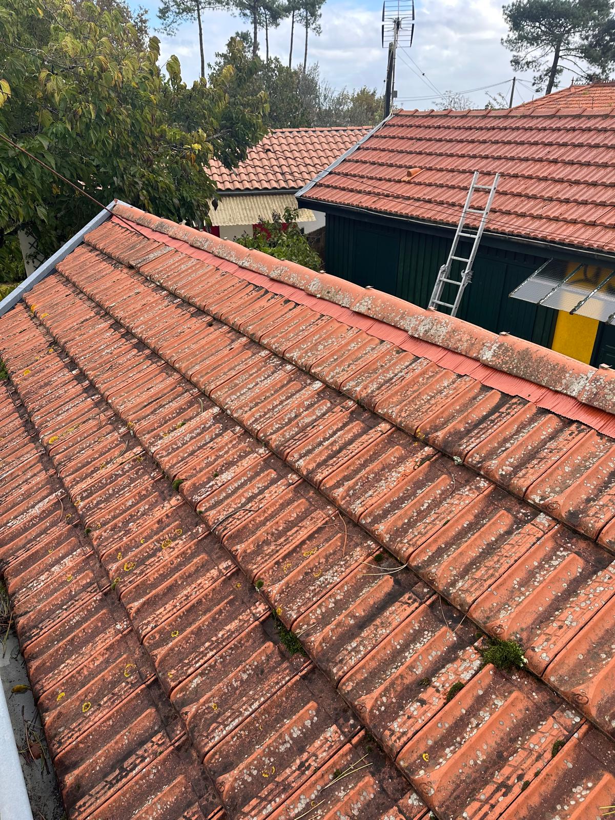 PHOTO 2025 02 18 17 53 38