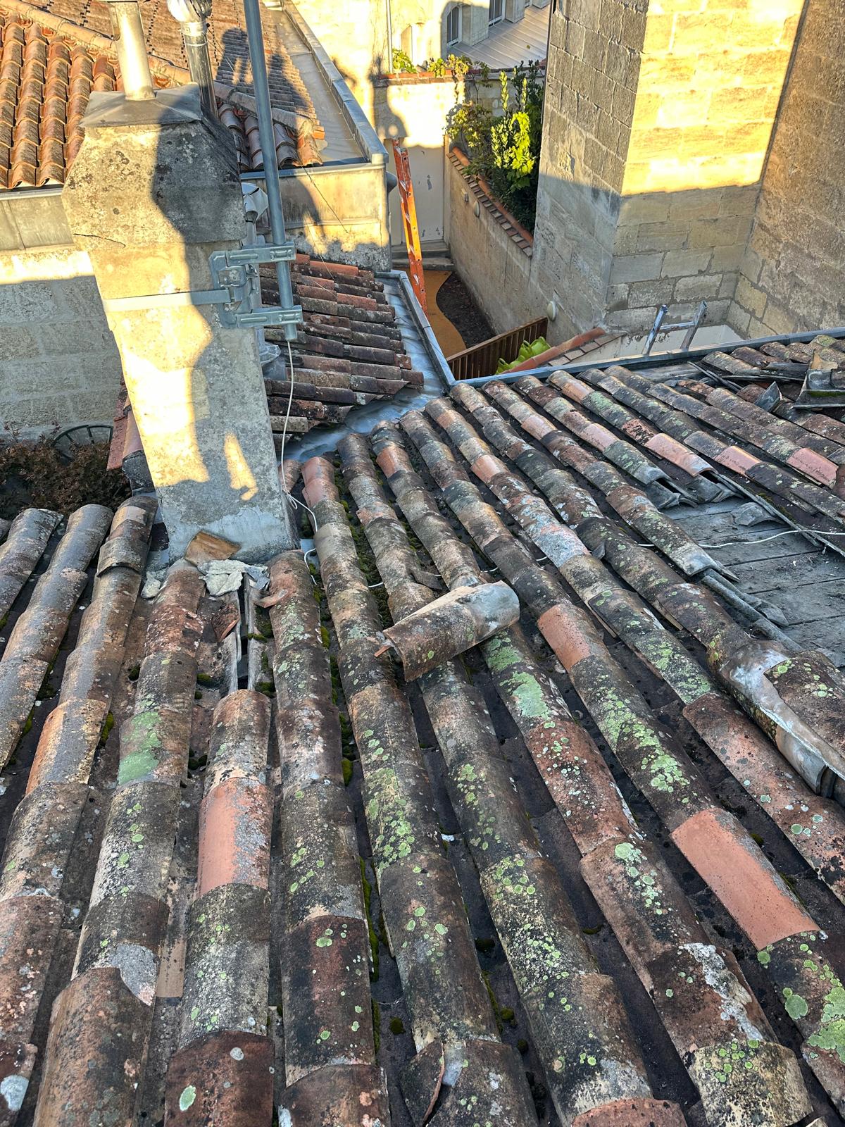 gallery-2 PHOTO 2025 02 18 17 55 46 2