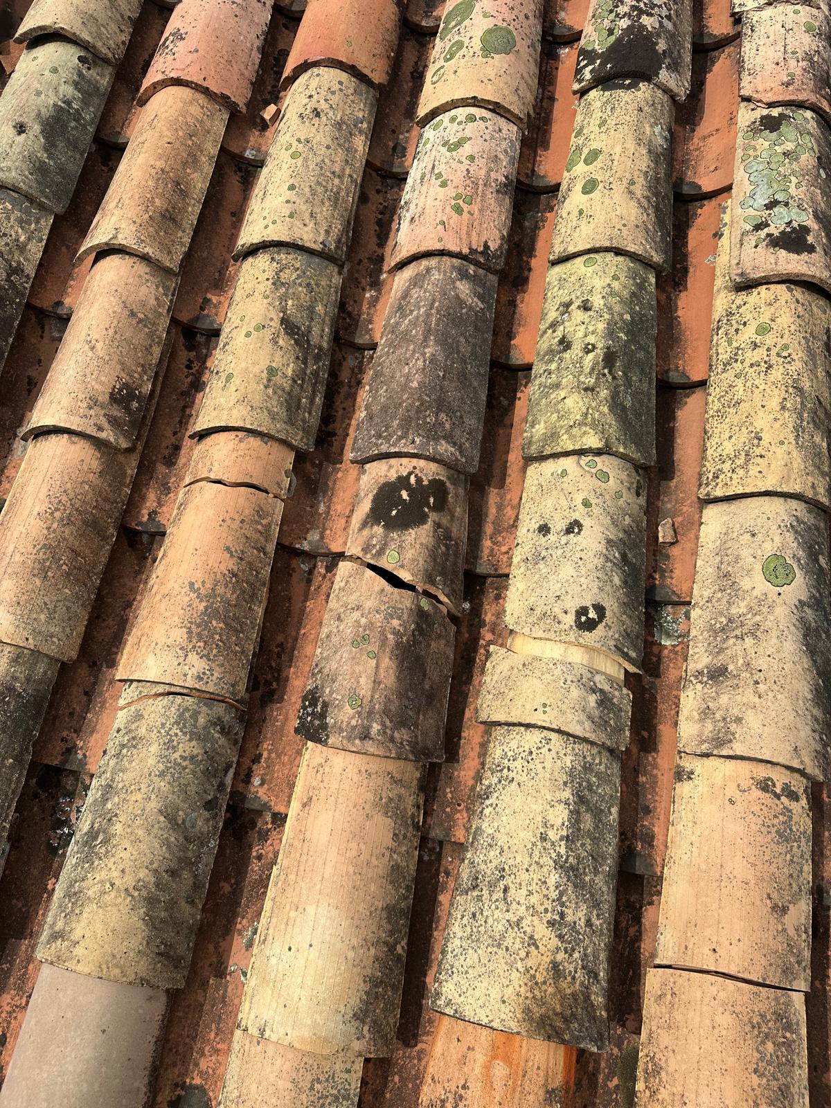 gallery-3 PHOTO 2025 02 18 17 55 46