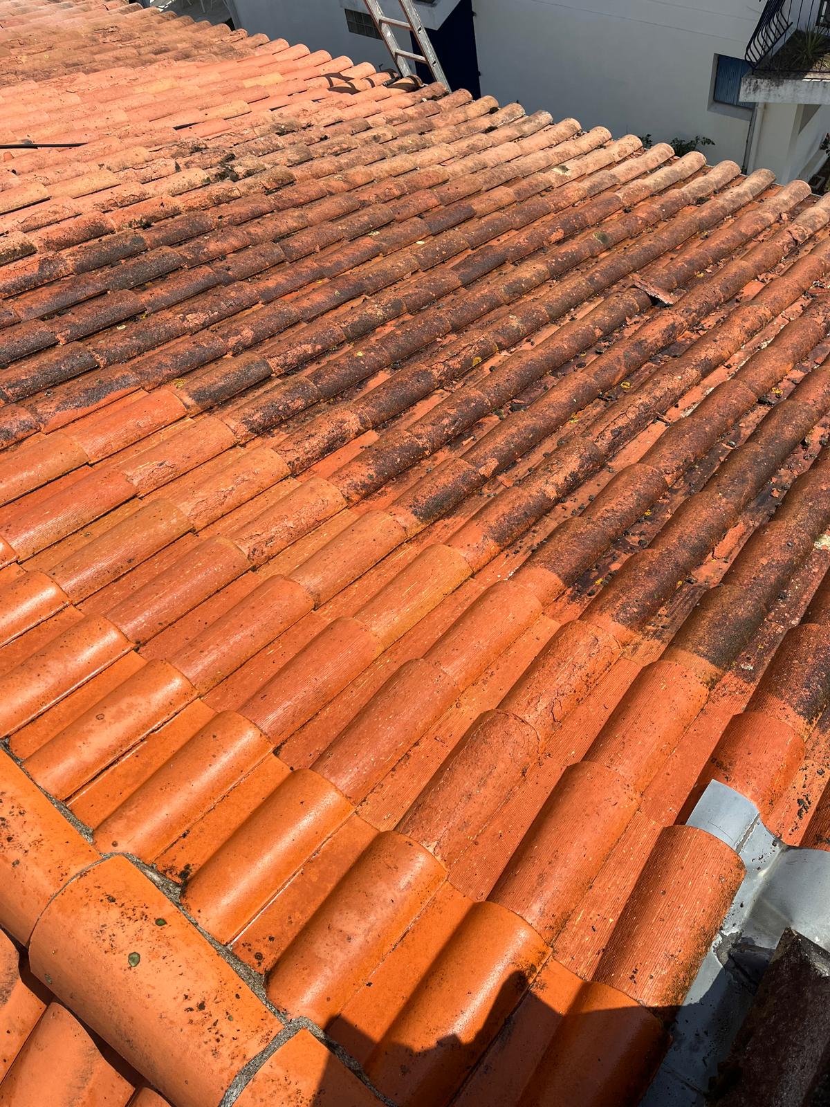 hero-img-01 PHOTO 2025 02 18 18 00 28 7